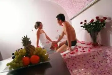 Villa Dubrava And Wellness Opatija 0*,  Croatia